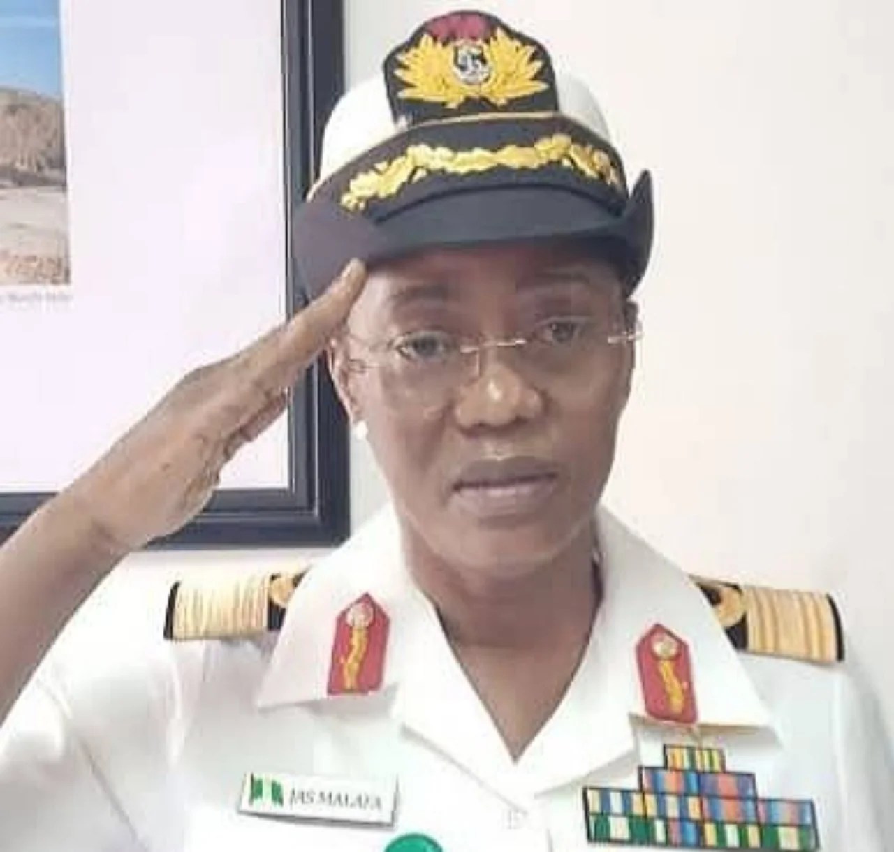 Navy reacts as Commodore Jamila Malafa says Chadian soldiers sell arms
