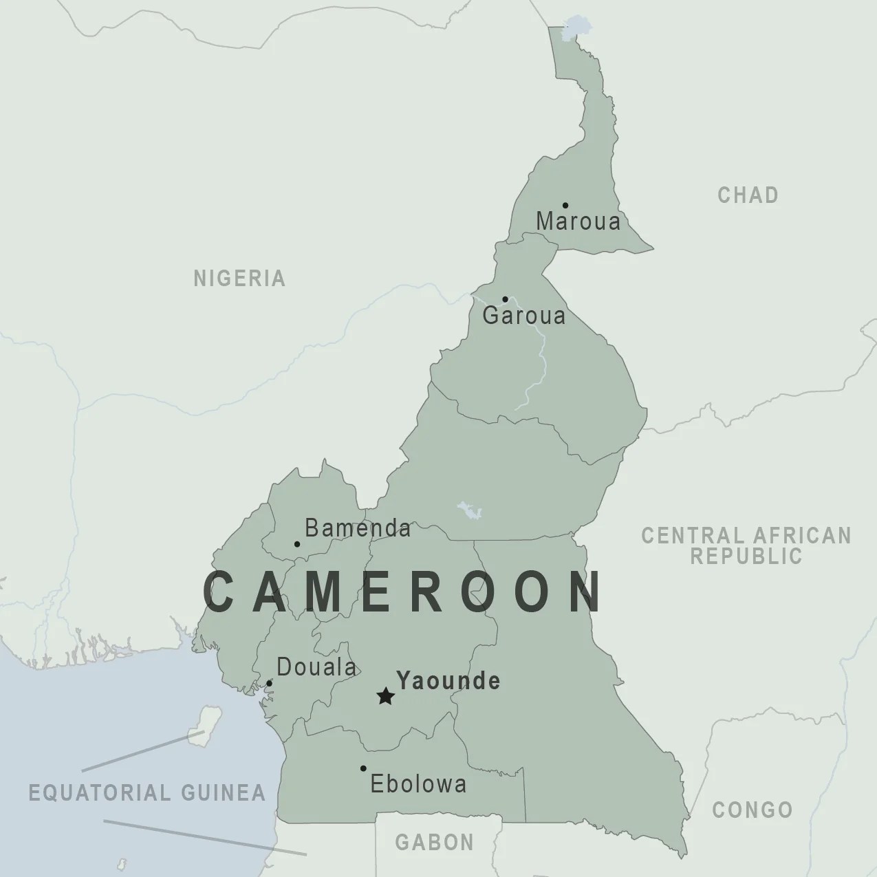 'Ambazonian' leader warns compatriots to leave Cameroon Daily Post