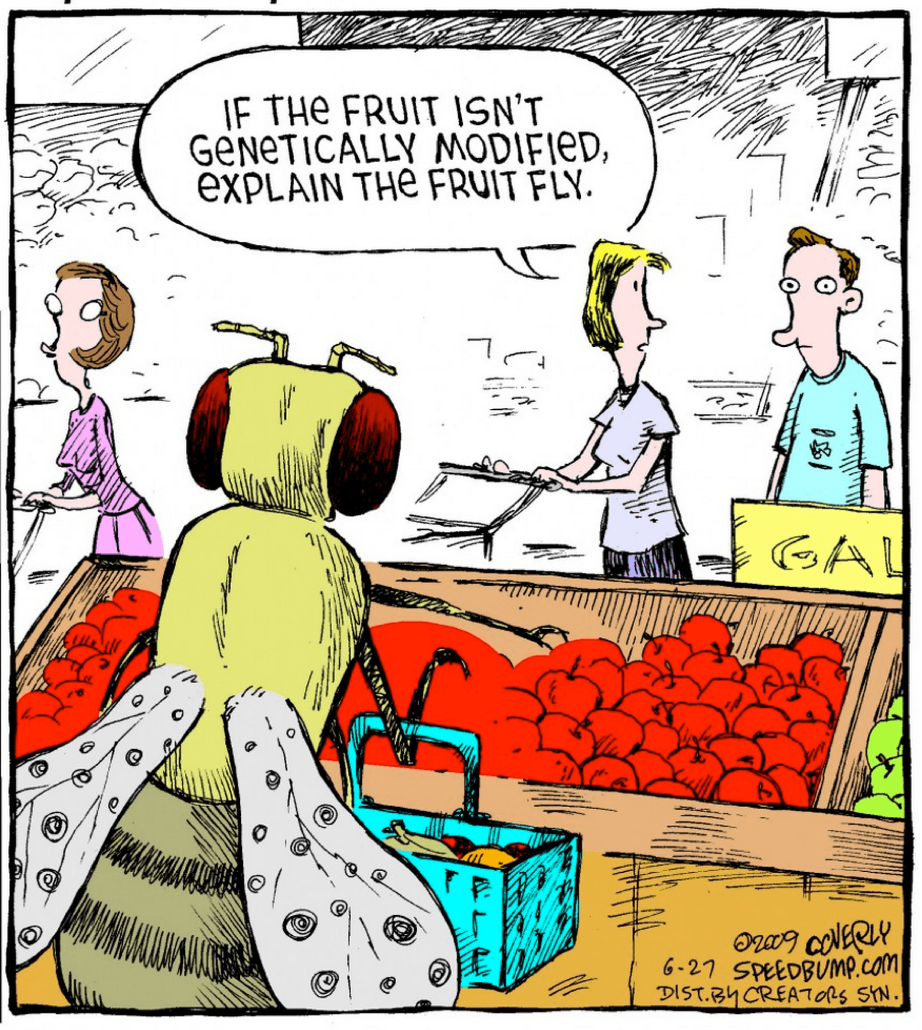 Fruit Fly GMO Cartoon The Daily Reckoning