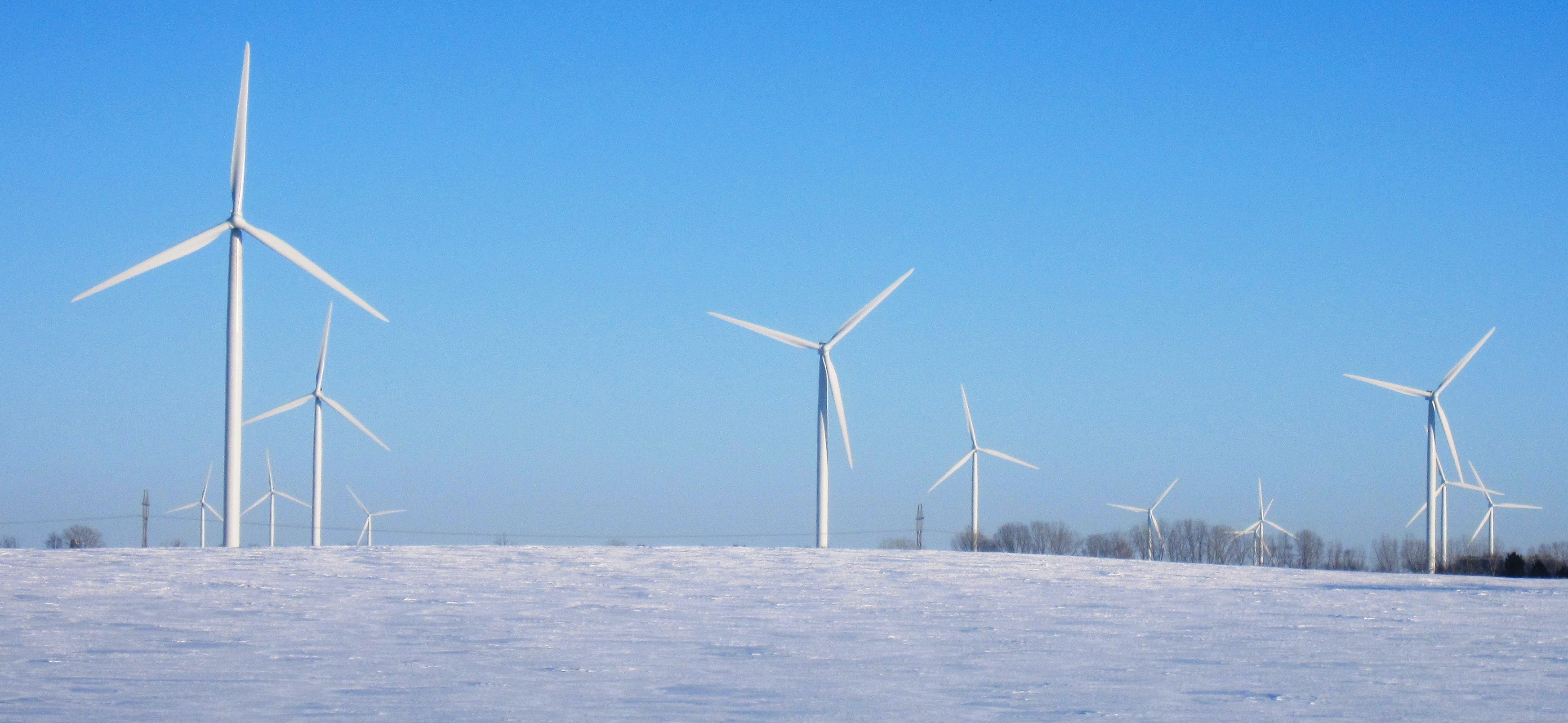 Wind energy increasingly economic for customers