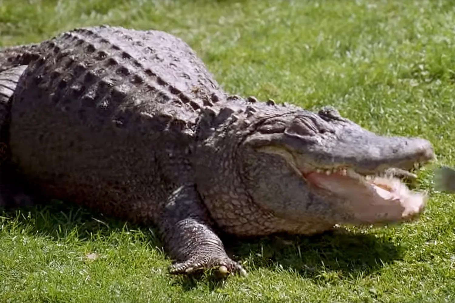 Jen Affleck Breaks Down in Tears as She Learns She's Pregnant with Baby