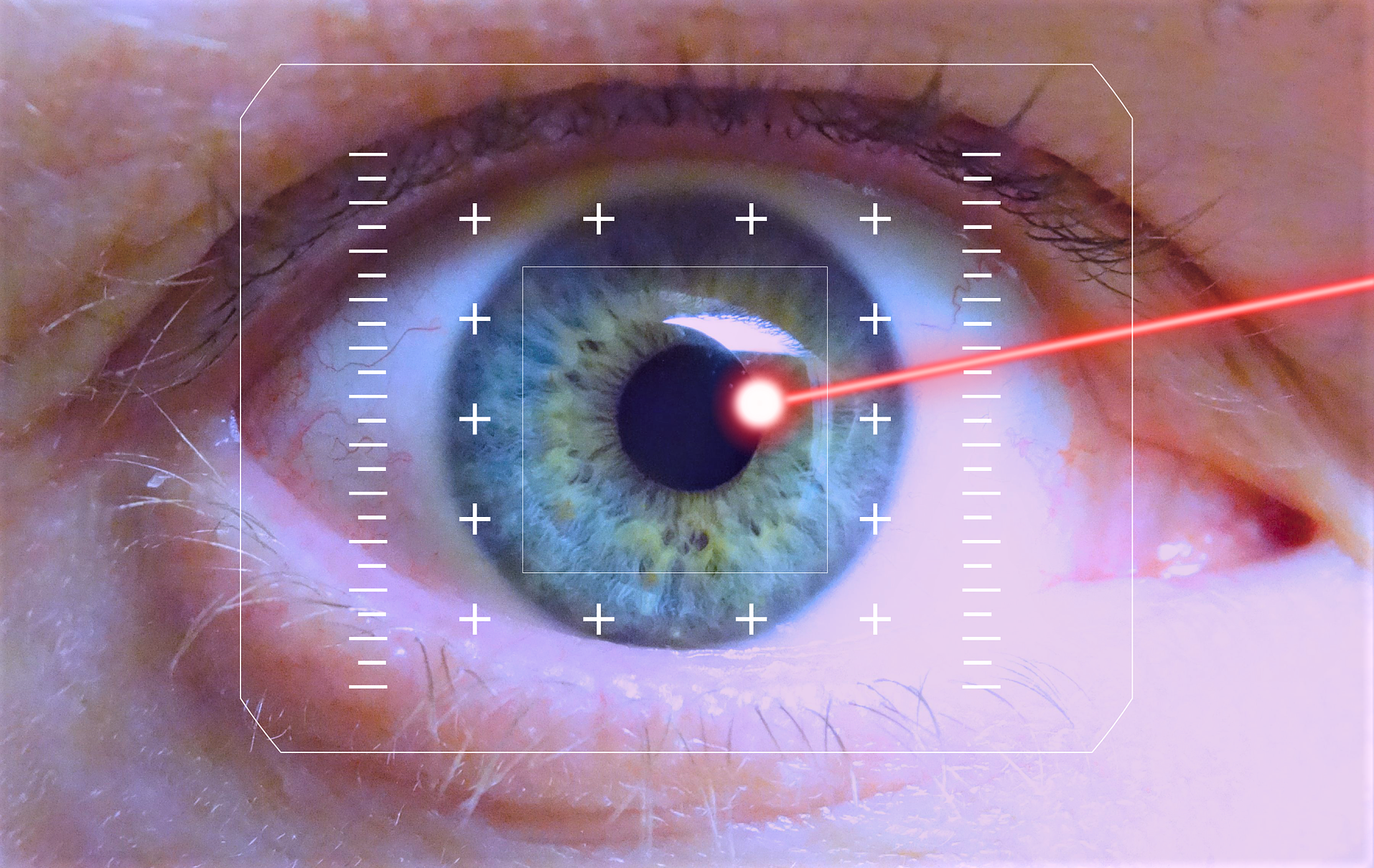 Faire la lumière en sciences DAILY SCIENCE