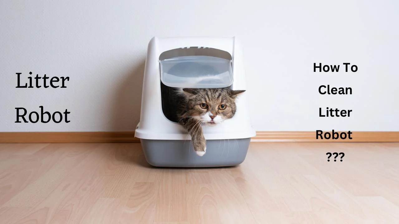 What is Litter Robot.How to clean litter robot?