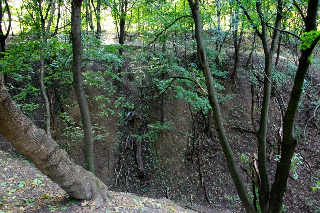 A Memorial for the Site of a Nazi Massacre in Kyiv
