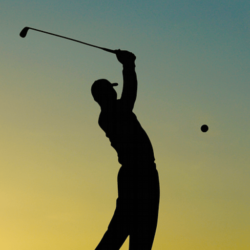 Most Golf Majors Won Last 25+ Years DailySportsBuddy