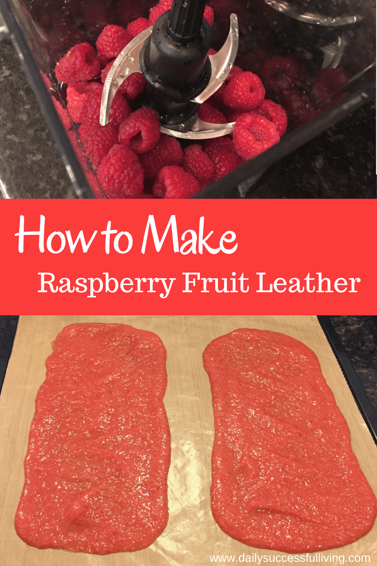 How To Make Raspberry Fruit Leather So Goes Life