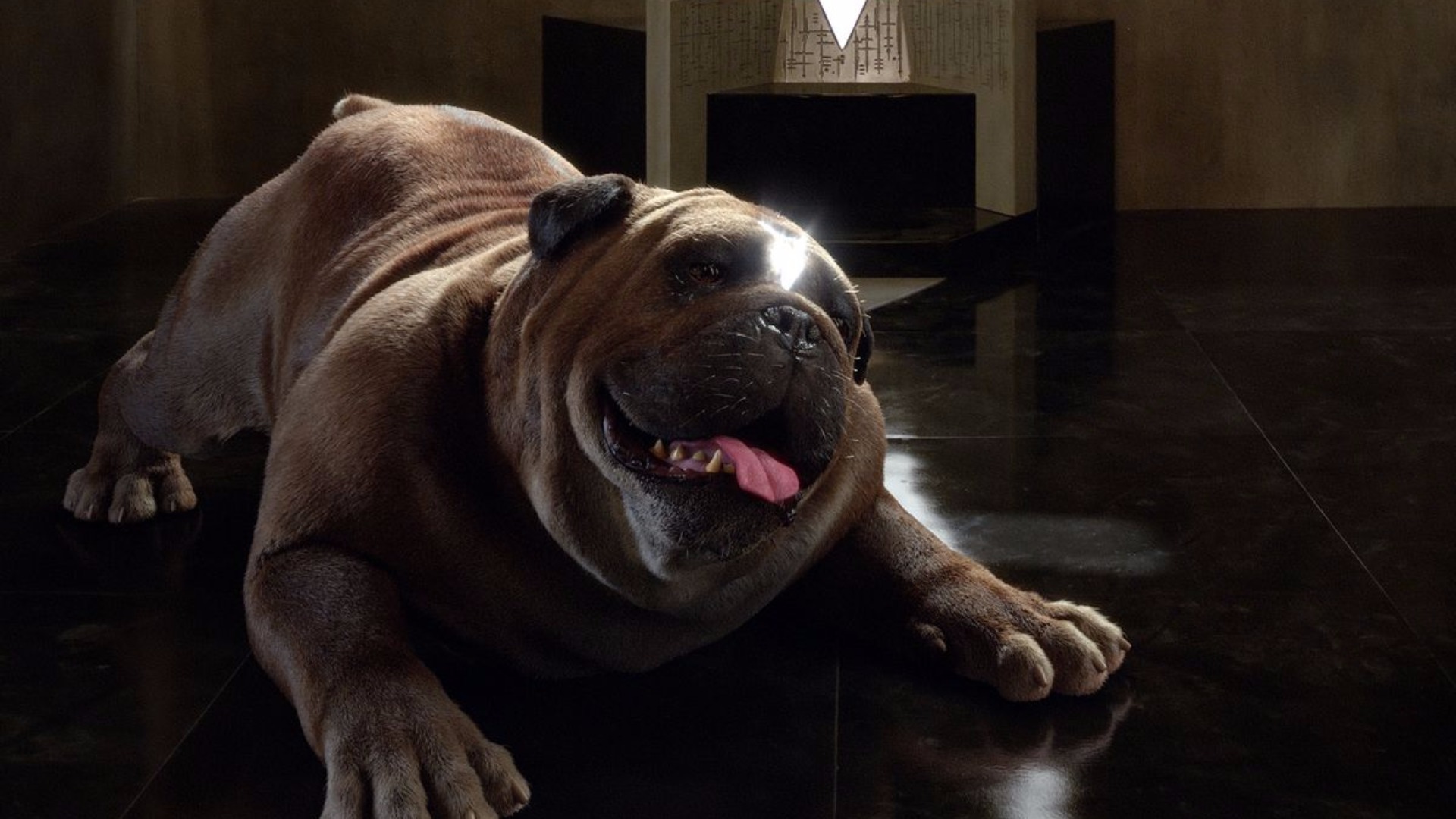 Inhumans First Review Not Kind Daily Superheroes Your daily dose