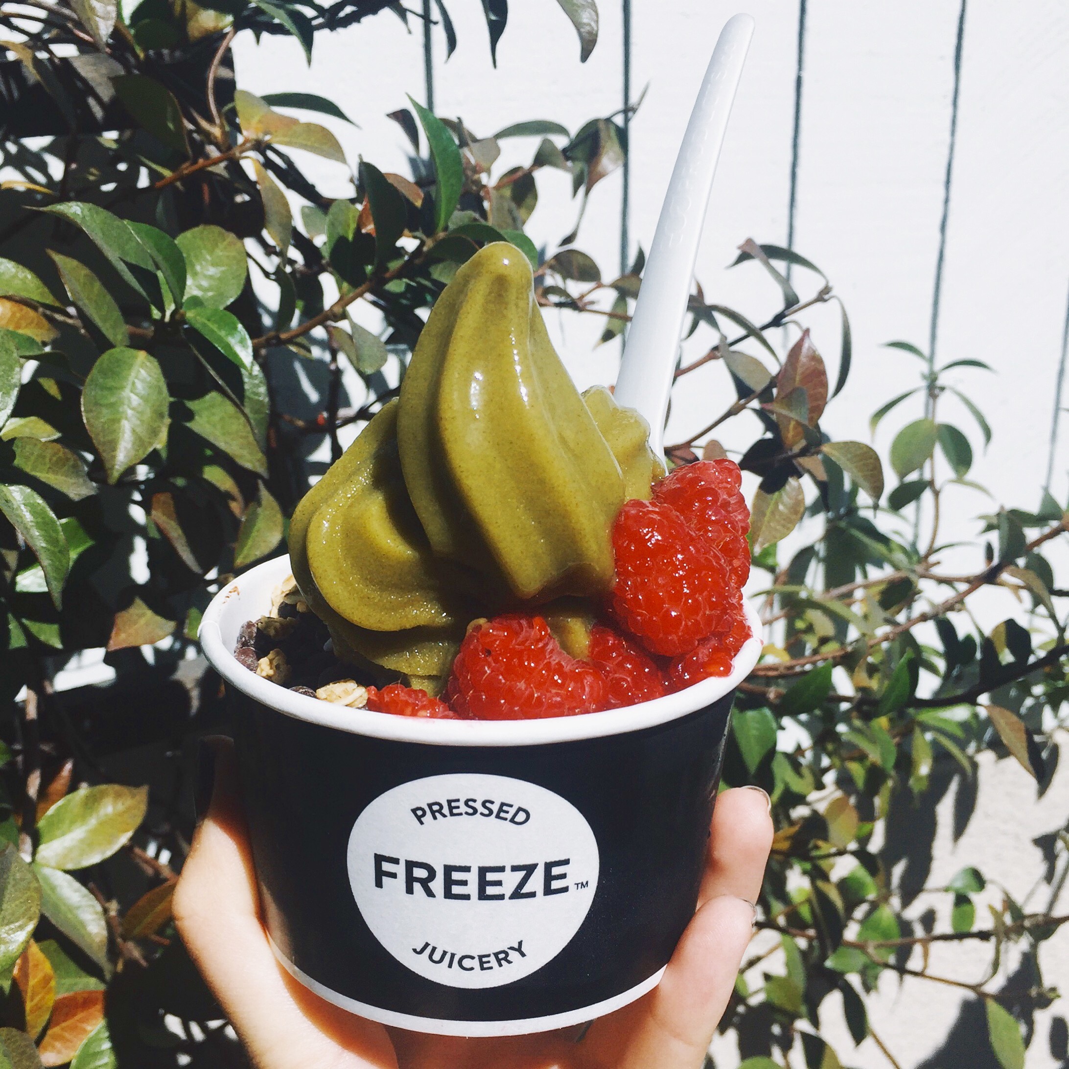 Vegan food in LA Pressed Juicery Freeze Daily Trojan