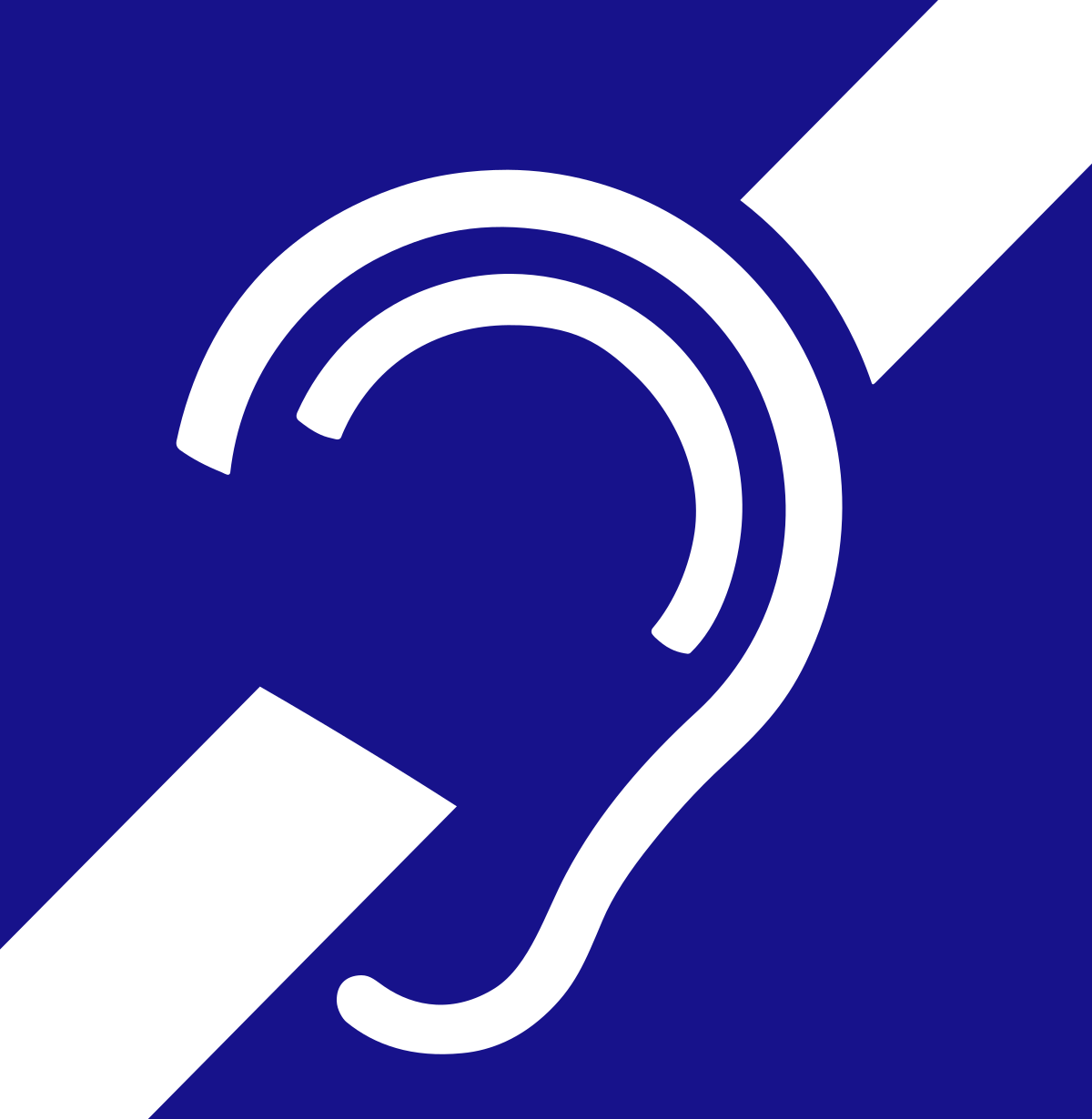 How to tackle prevalence of hearing impairment Experts Daily Trust