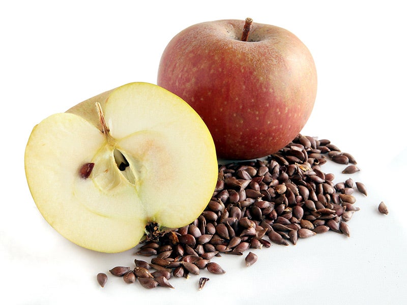 Apple seeds contain cyanideproducing amygdalin, but poisoning