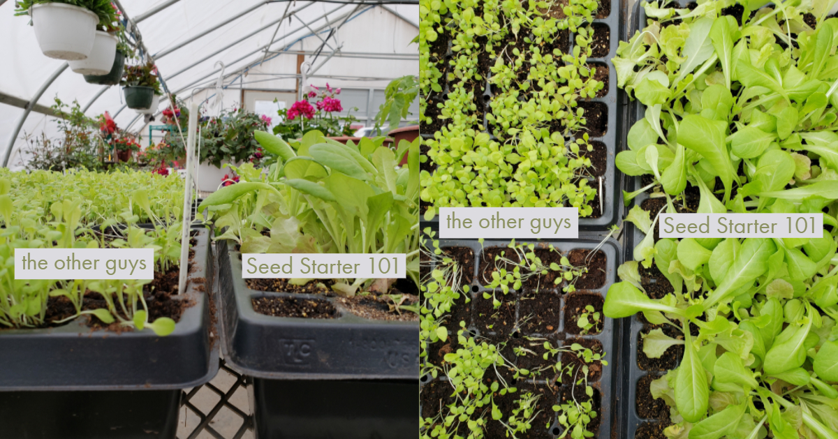 Seed Starter 101 Dairy Doo