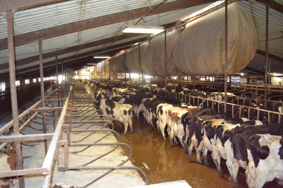 Wisconsin Dairy Farms for Sale Ron Brath, dairy farm sales Fond du