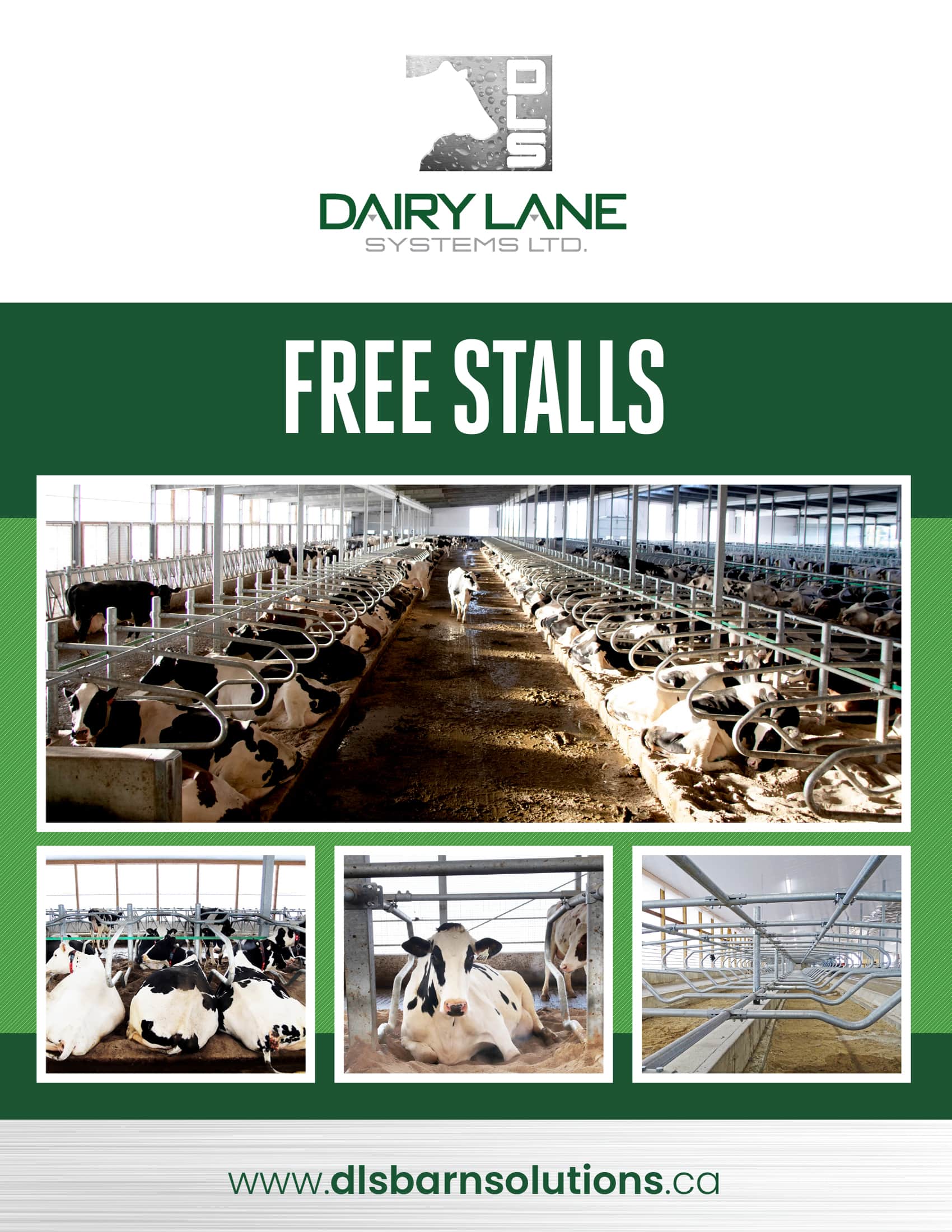 Jourdain Free Stalls Dairy Lane Systems Dairy Barn Equip