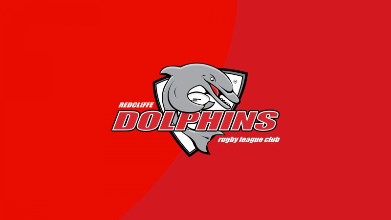 who owns the dolphins