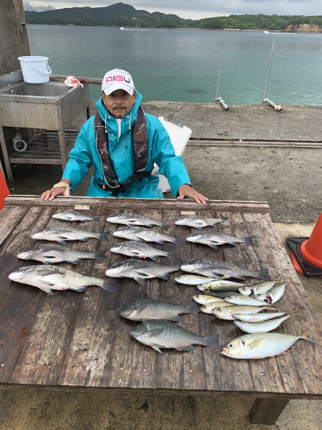5月31日釣果（筏） 三重県志摩市／大伸丸渡船−筏（イカダ）釣り、磯釣り、船釣りをご案内！