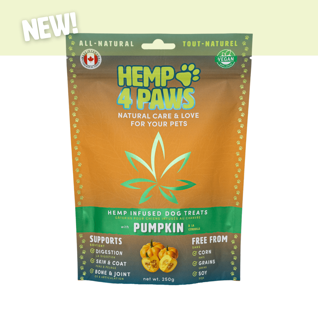 HEMP4PAWS BISCUITS POUR CHIENS CHANVRE/CITROUILLE Boutique Daisy et Cie