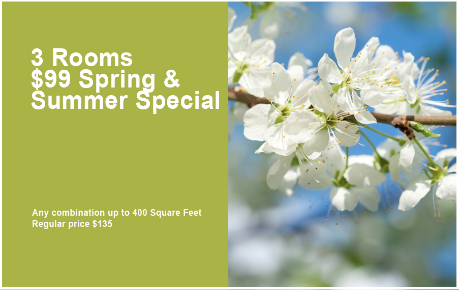 Carpet Cleaning Upholstery Cleaning Vancouver WA