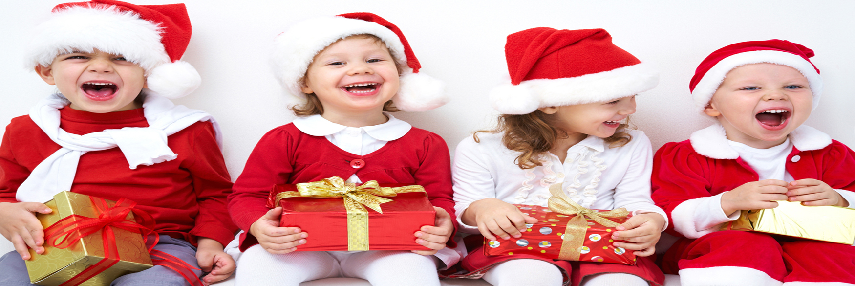 CHRISTMAS SLIDER Daisy Nook Garden Centre