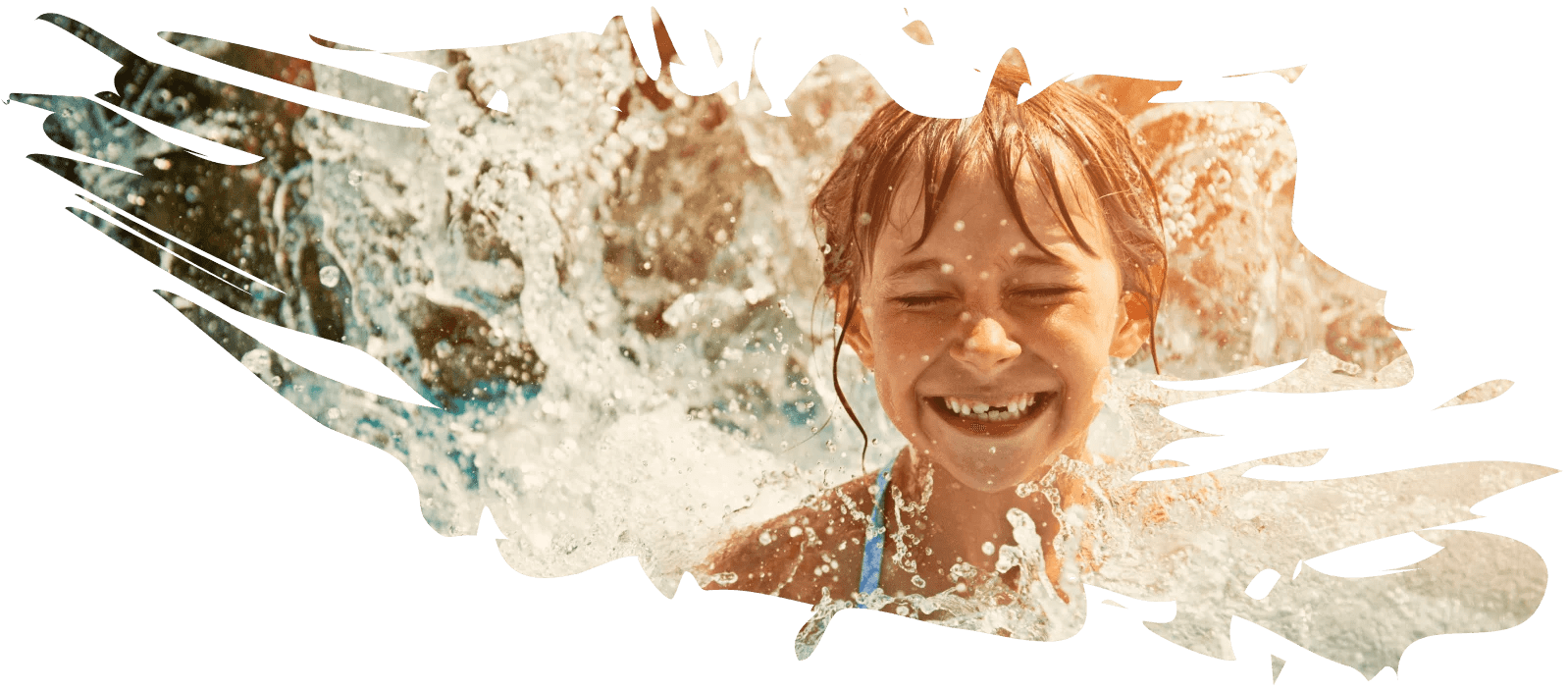 Swimming Pool Covers & Blankets Daisy Pool Covers