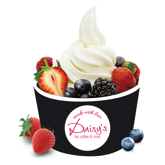 Frozen Yoghurt Daisy's Heerlijk ijs, koffie en meer! IJssalon Tiel
