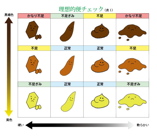 便 JapaneseClass.jp