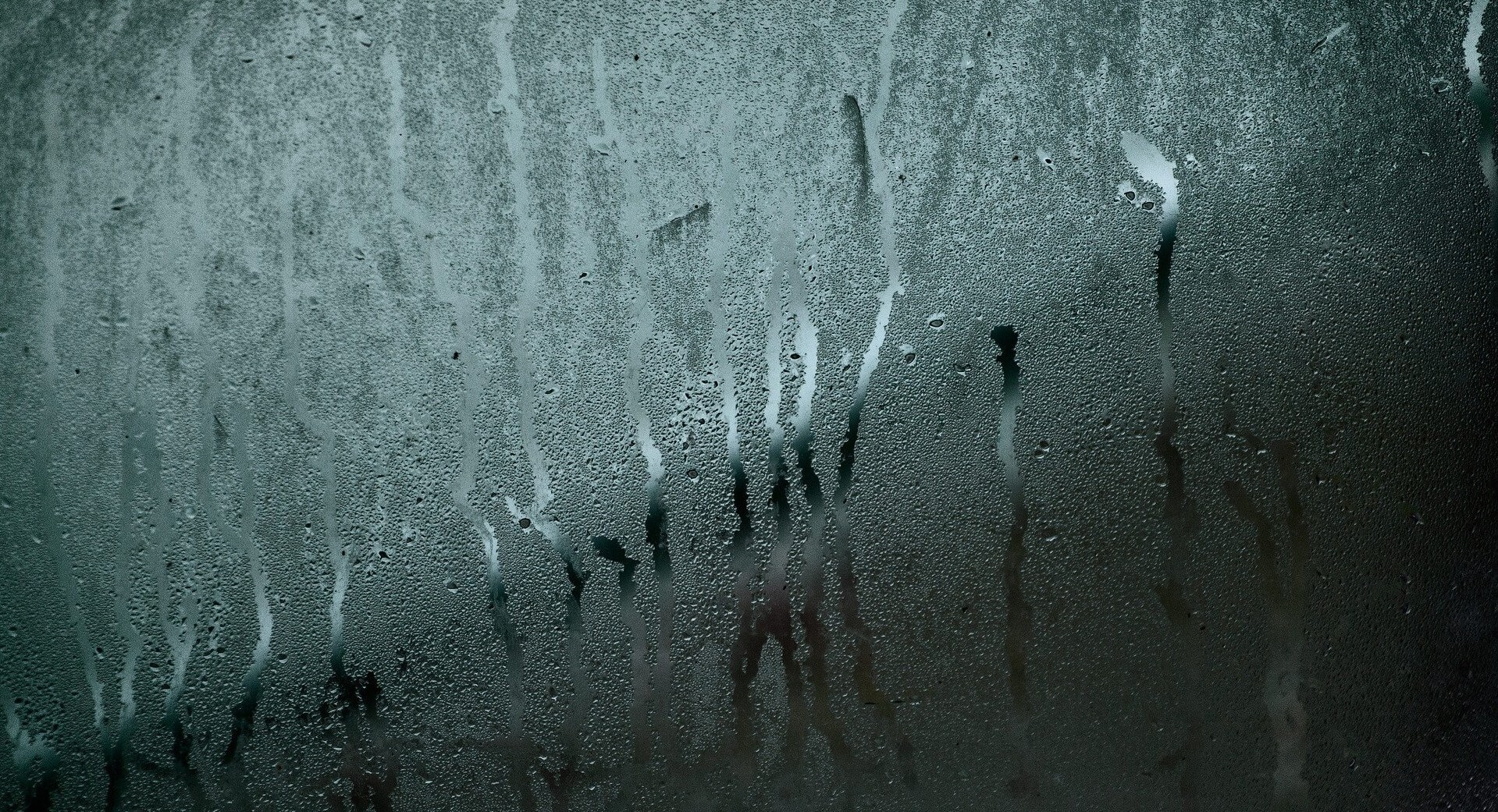 How to Stop Condensation on Windows Dakea