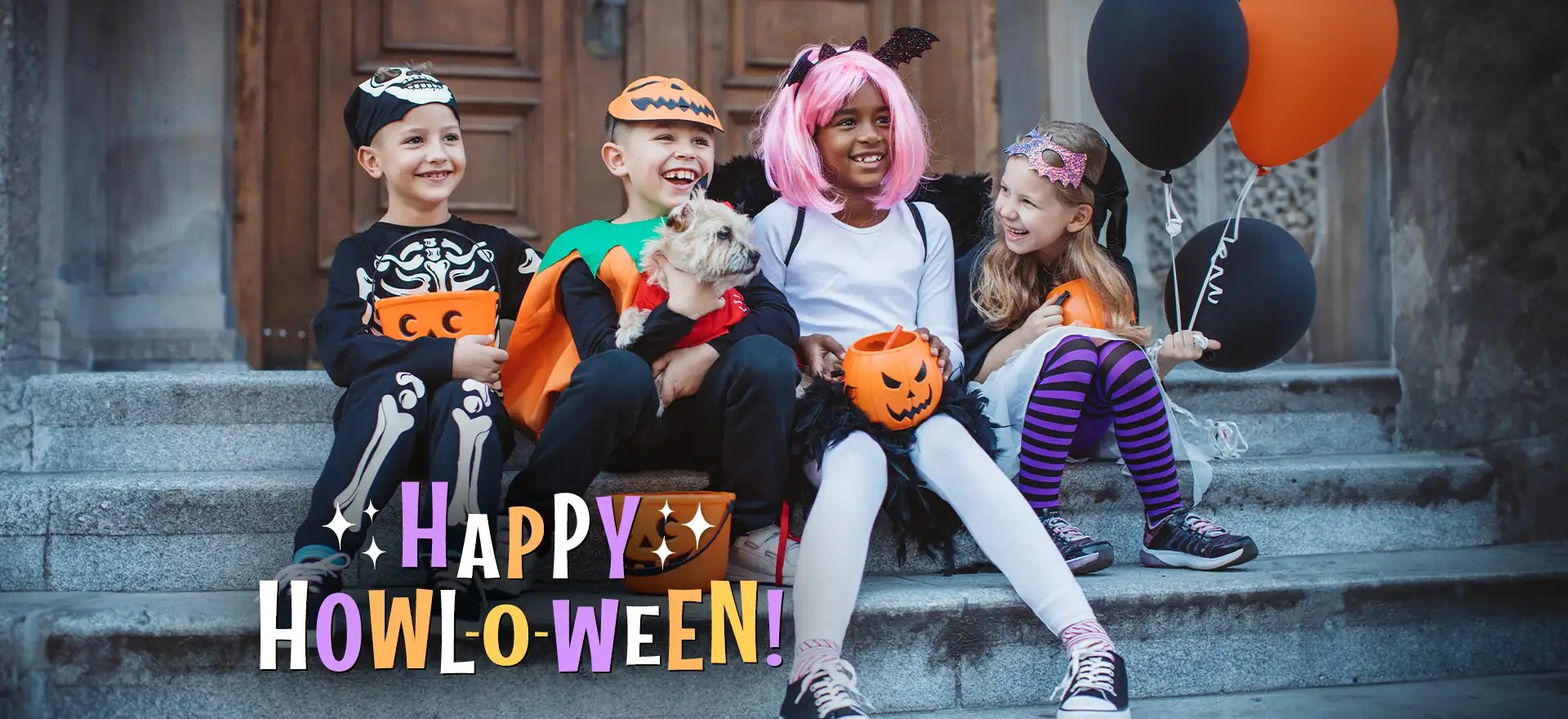 Vet Clinic Rapid City & Black Hills, SD Dakota Hills Veterinary Clinic