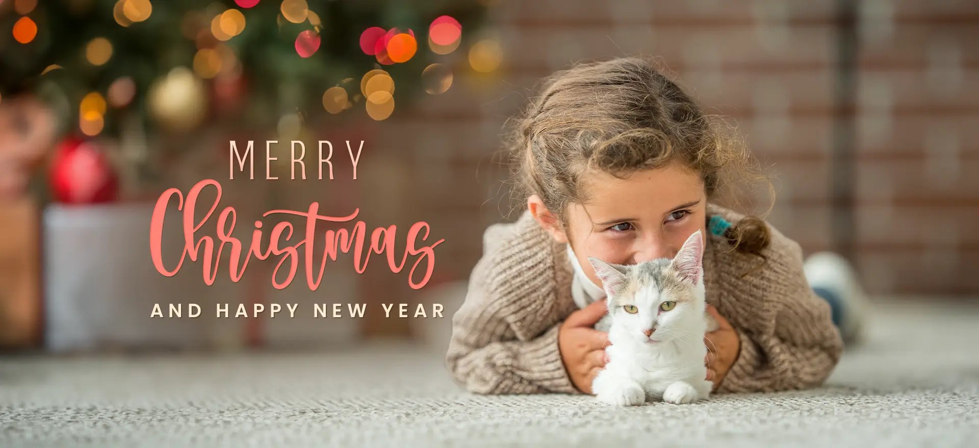 Vet Clinic Rapid City & Black Hills, SD Dakota Hills Veterinary Clinic