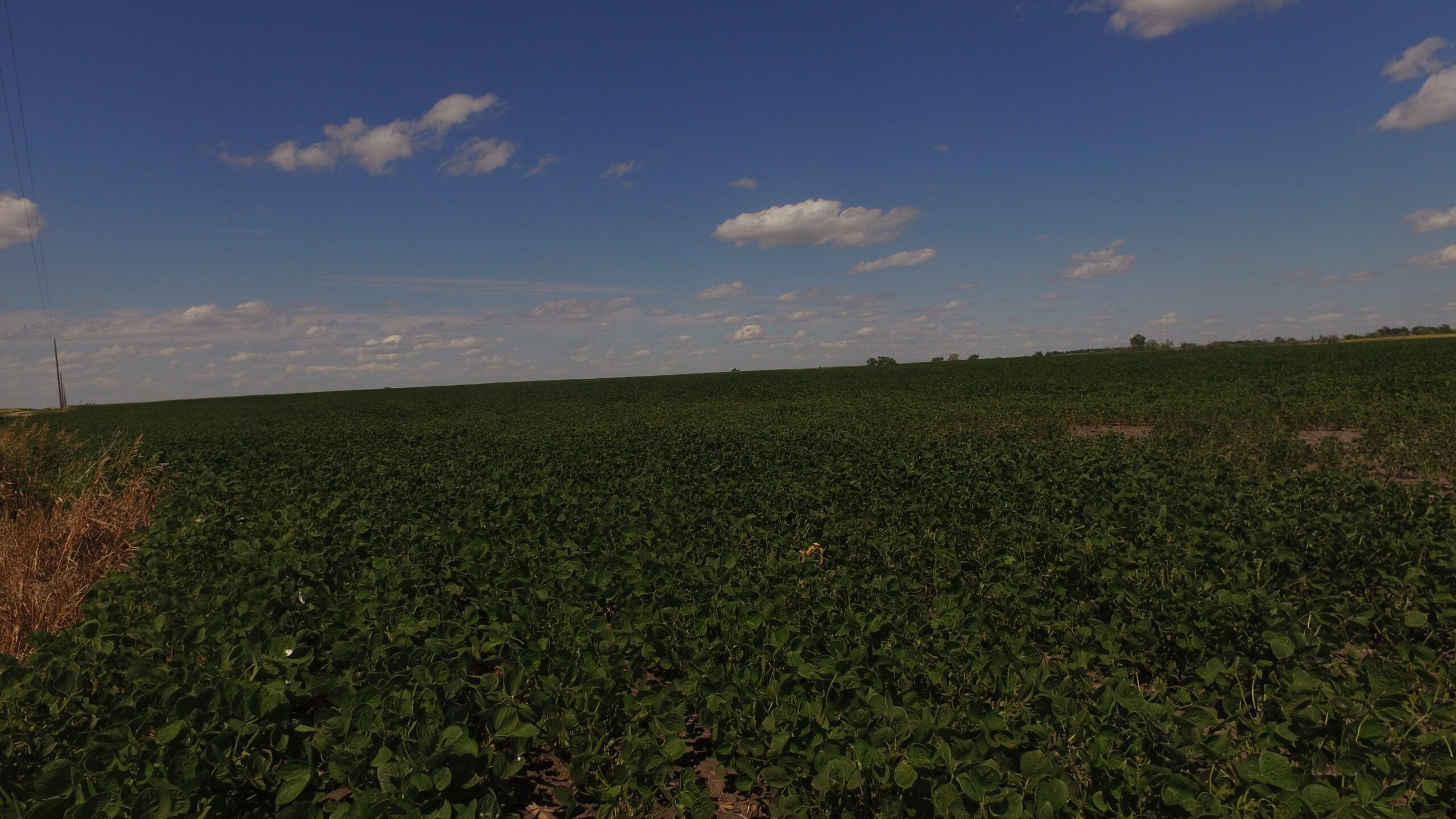 South Dakota Land & Property Auctions For Sale Real Estate Firm