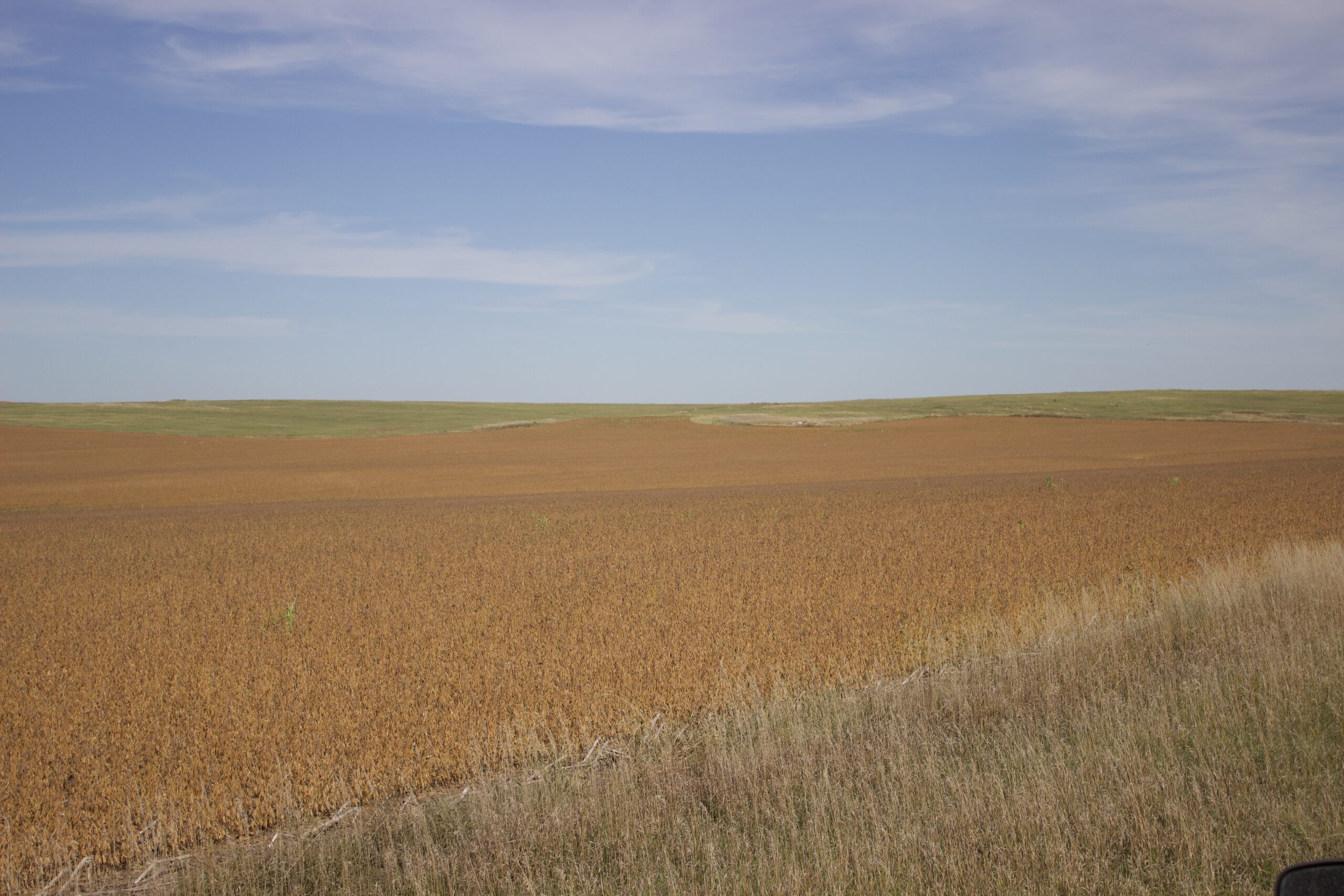 Potter County Land Auctions for Sale Gettysburg South Dakota