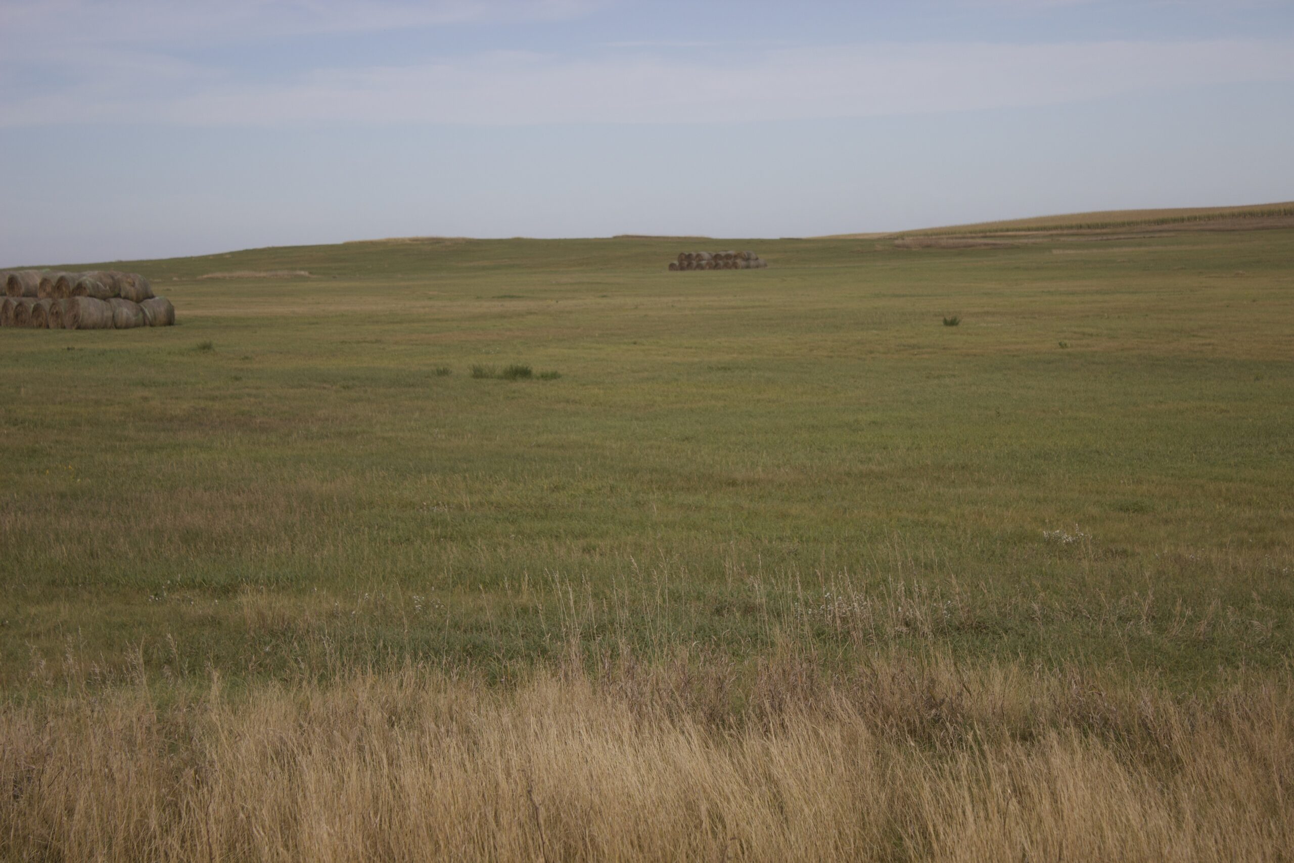 Potter County Land Auctions for Sale Gettysburg South Dakota
