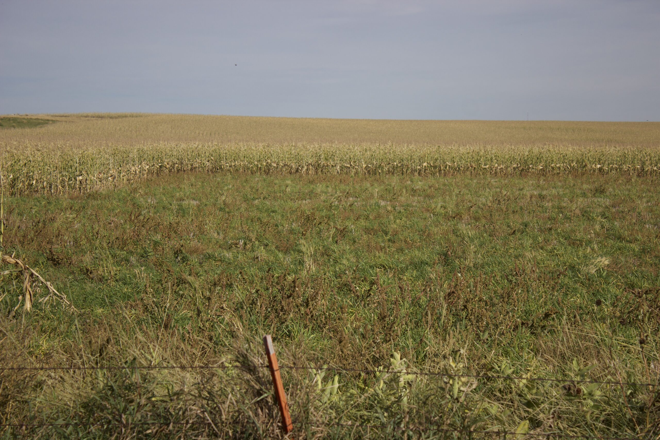Potter County Land Auctions for Sale Gettysburg South Dakota