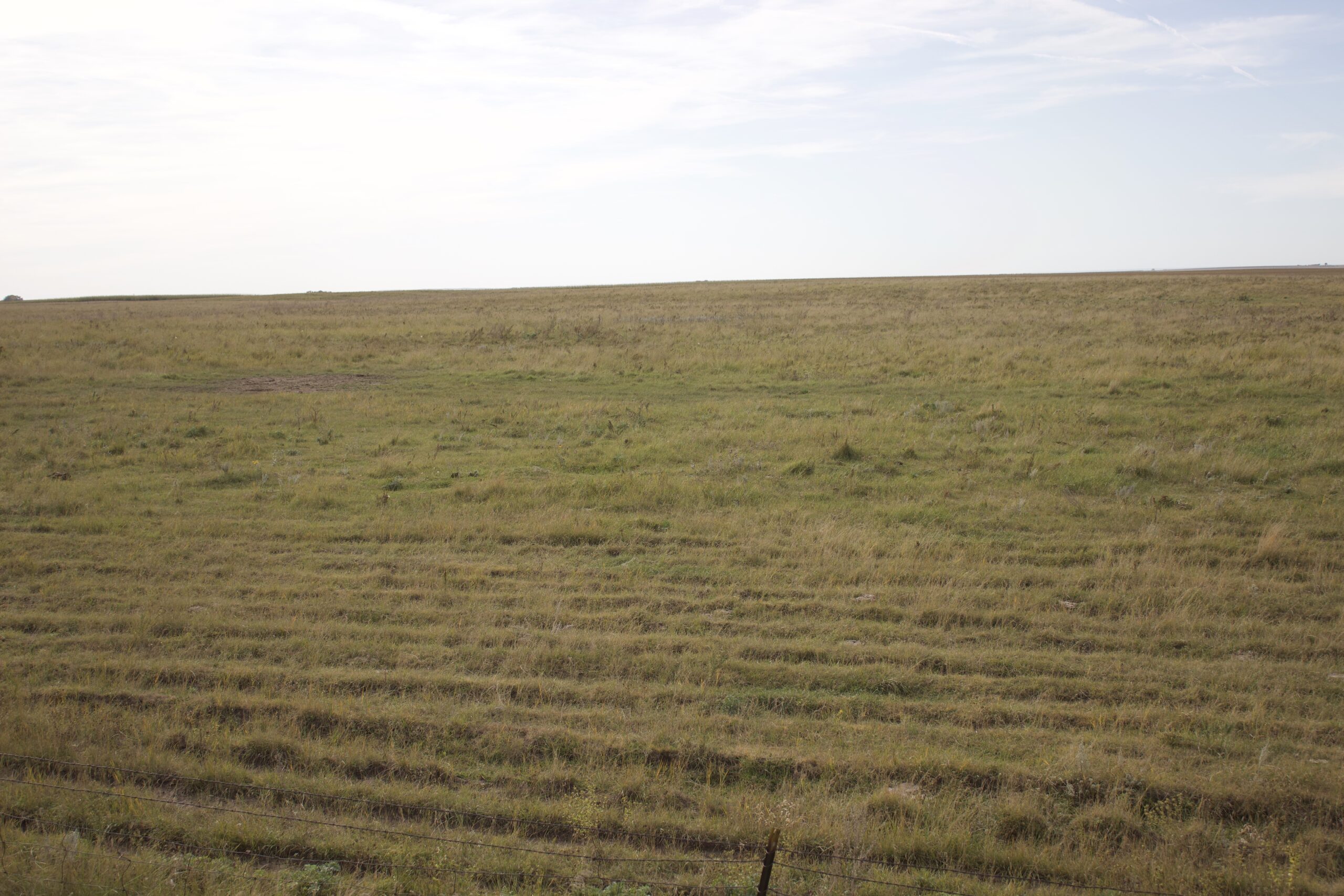 Potter County Land Auctions for Sale Gettysburg South Dakota