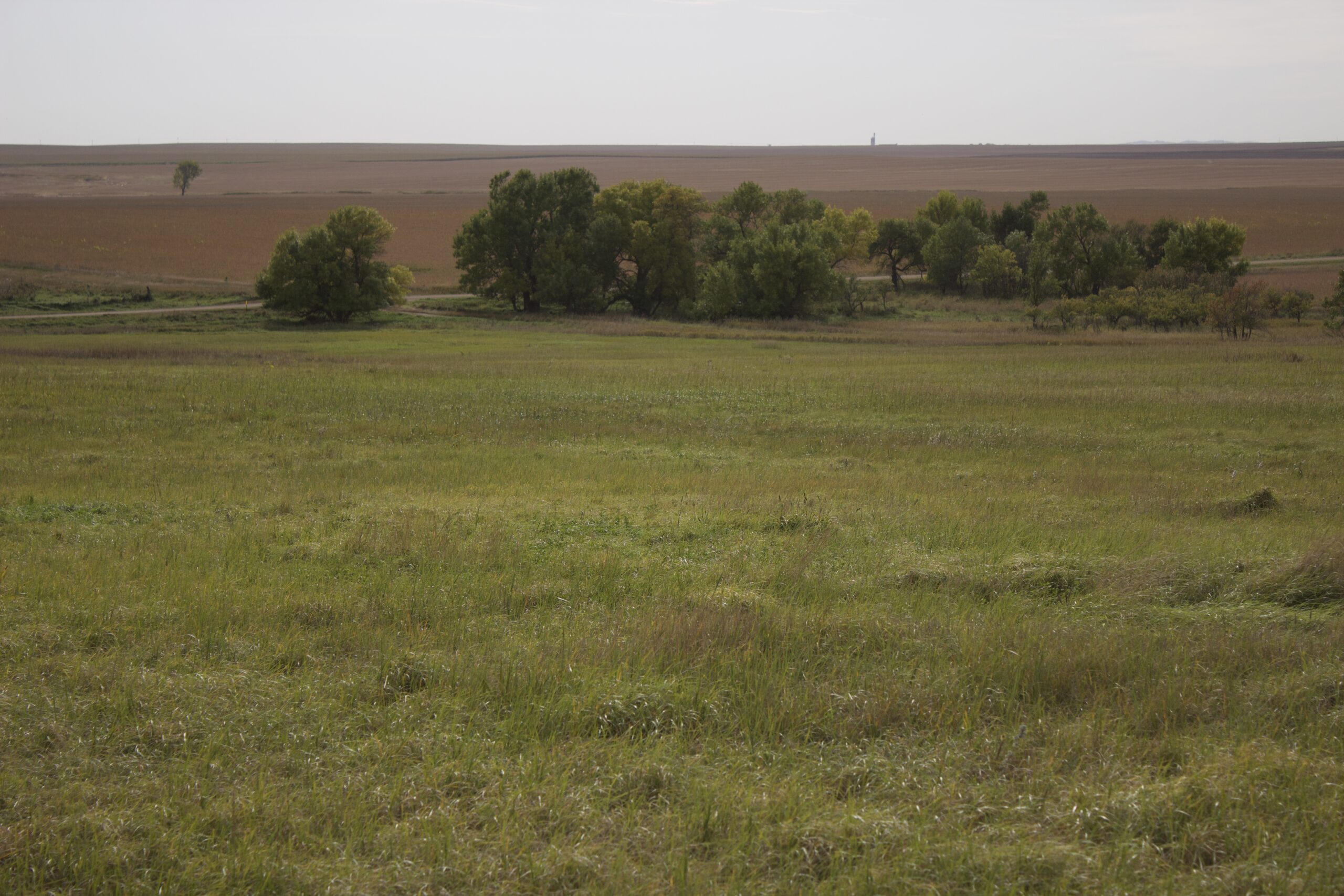 Potter County Land Auctions for Sale Gettysburg South Dakota