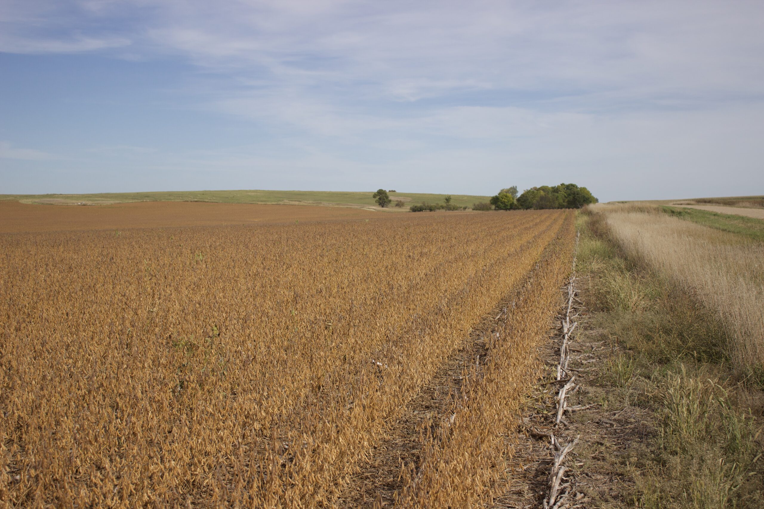 Potter County Land Auctions for Sale Gettysburg South Dakota