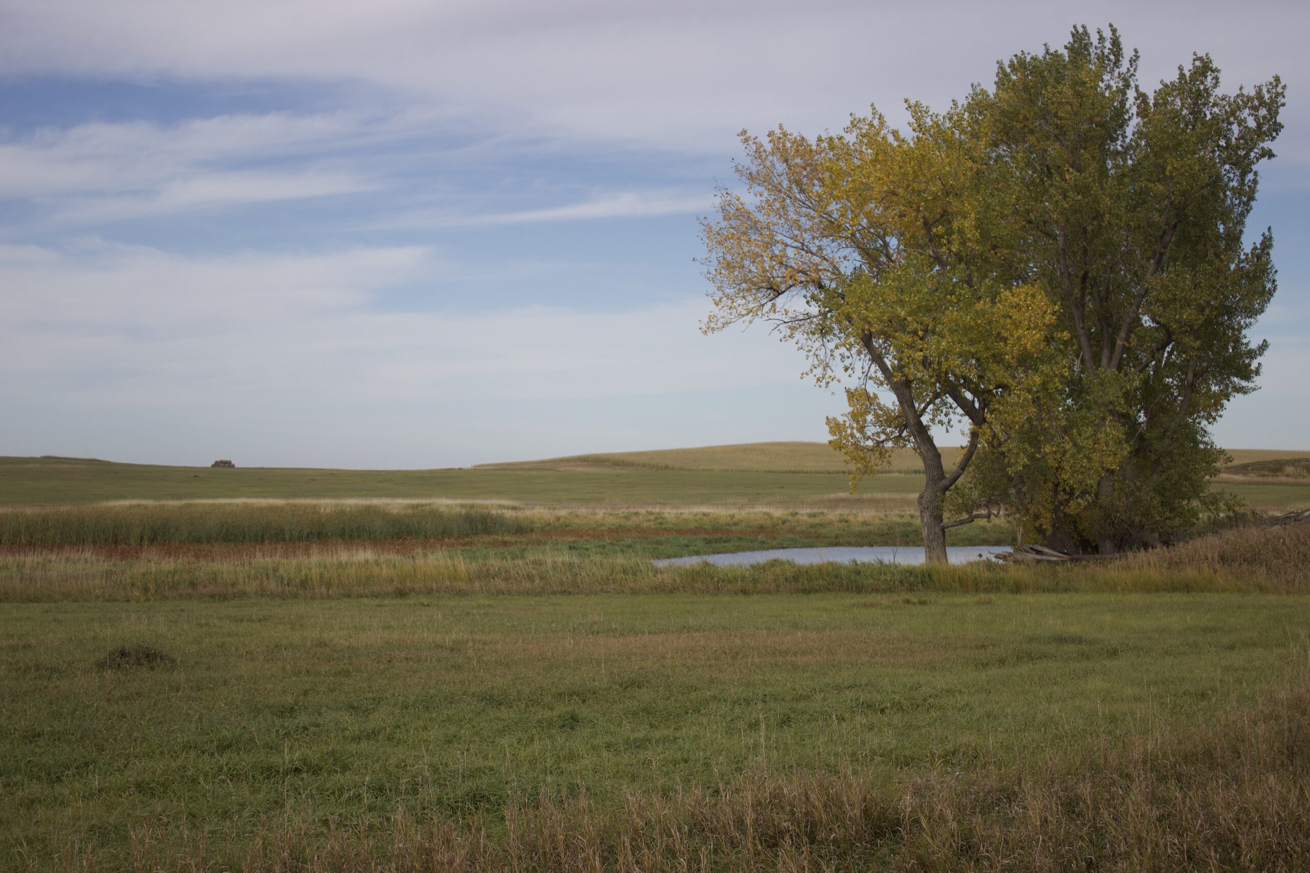 Potter County Land Auctions for Sale Gettysburg South Dakota