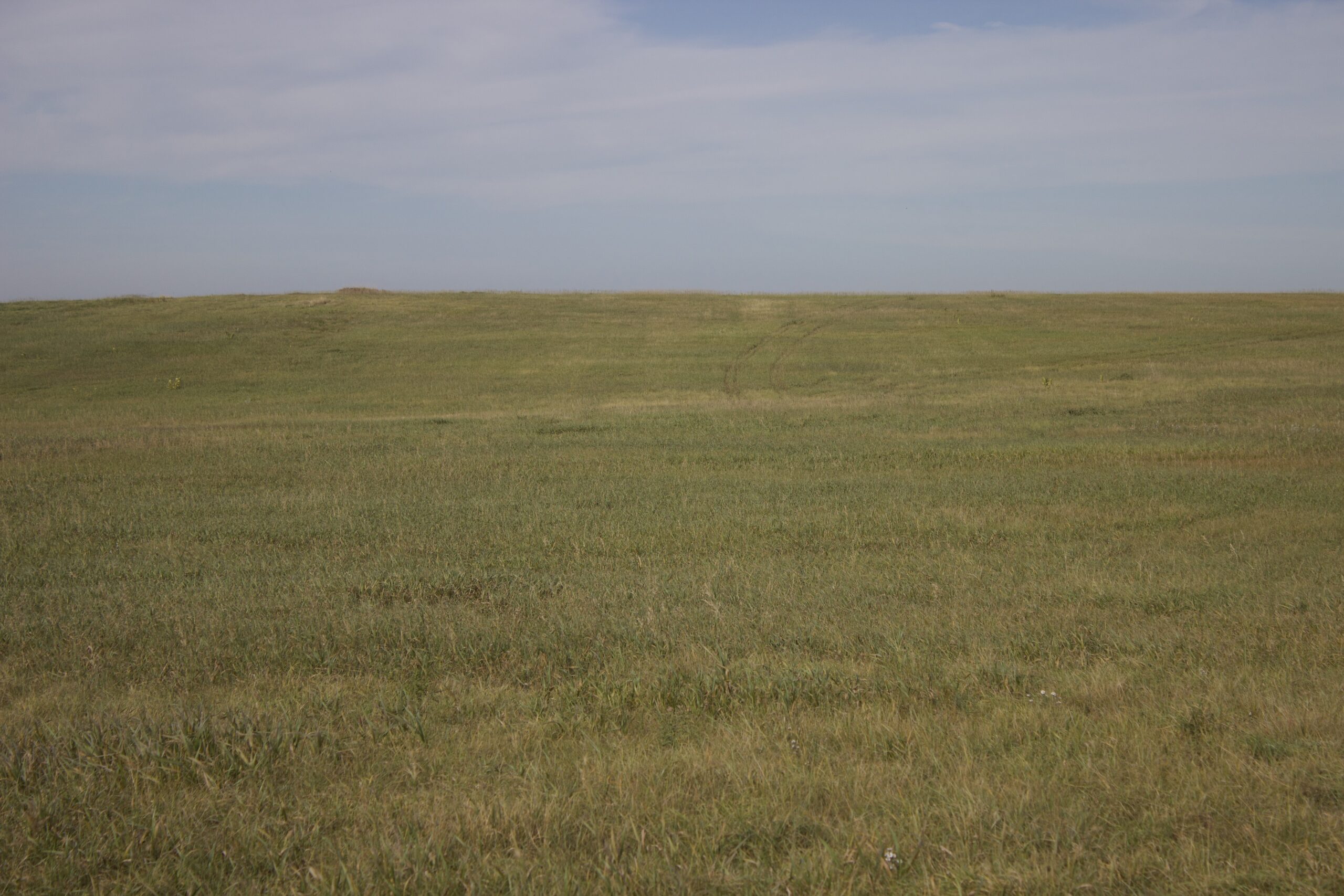 Potter County Land Auctions for Sale Gettysburg South Dakota