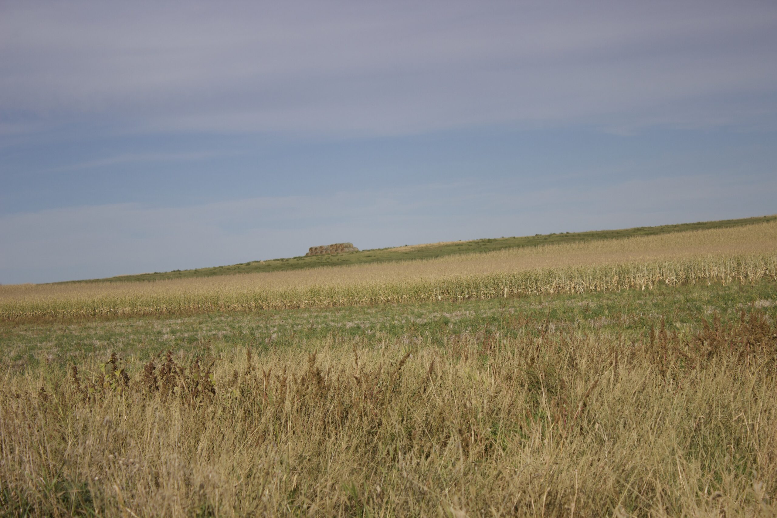 Potter County Land Auctions for Sale Gettysburg South Dakota
