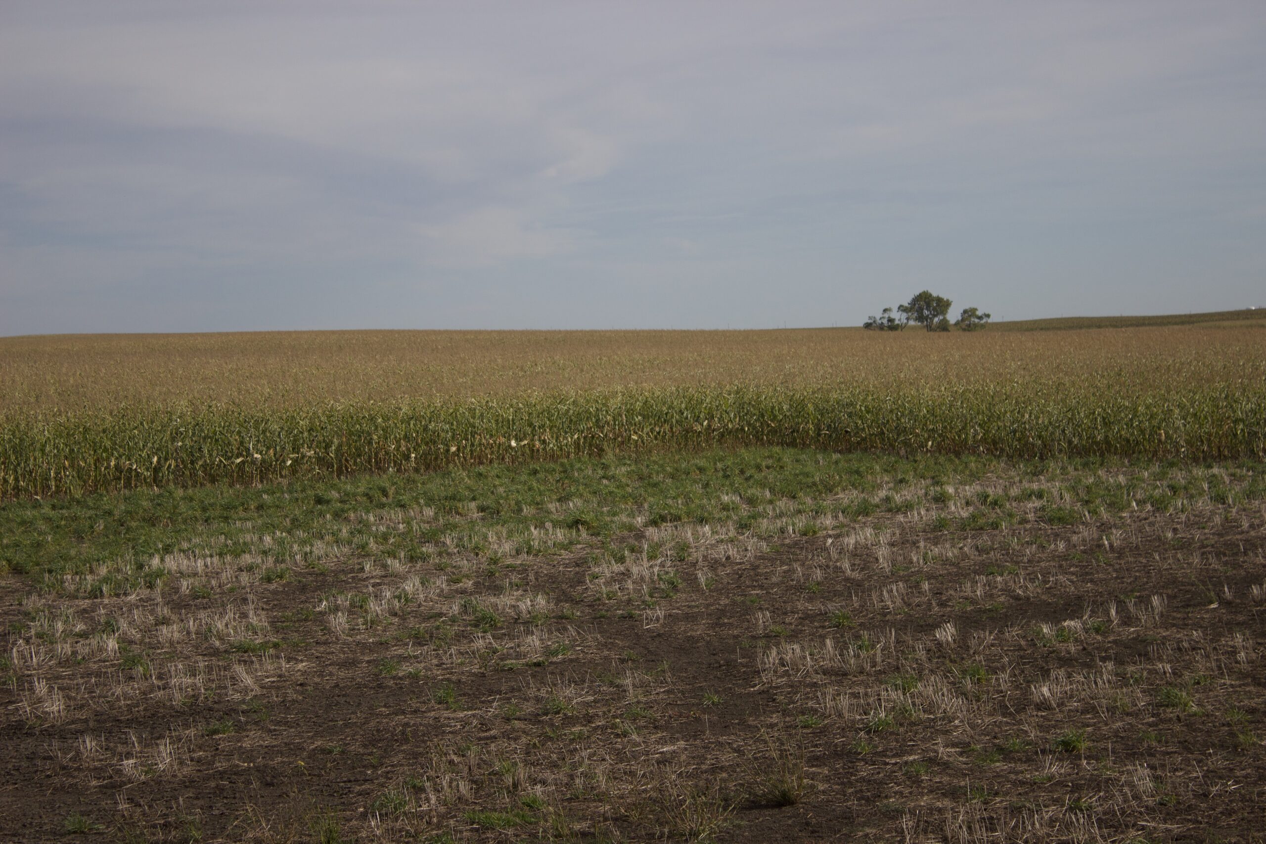 Potter County Land Auctions for Sale Gettysburg South Dakota