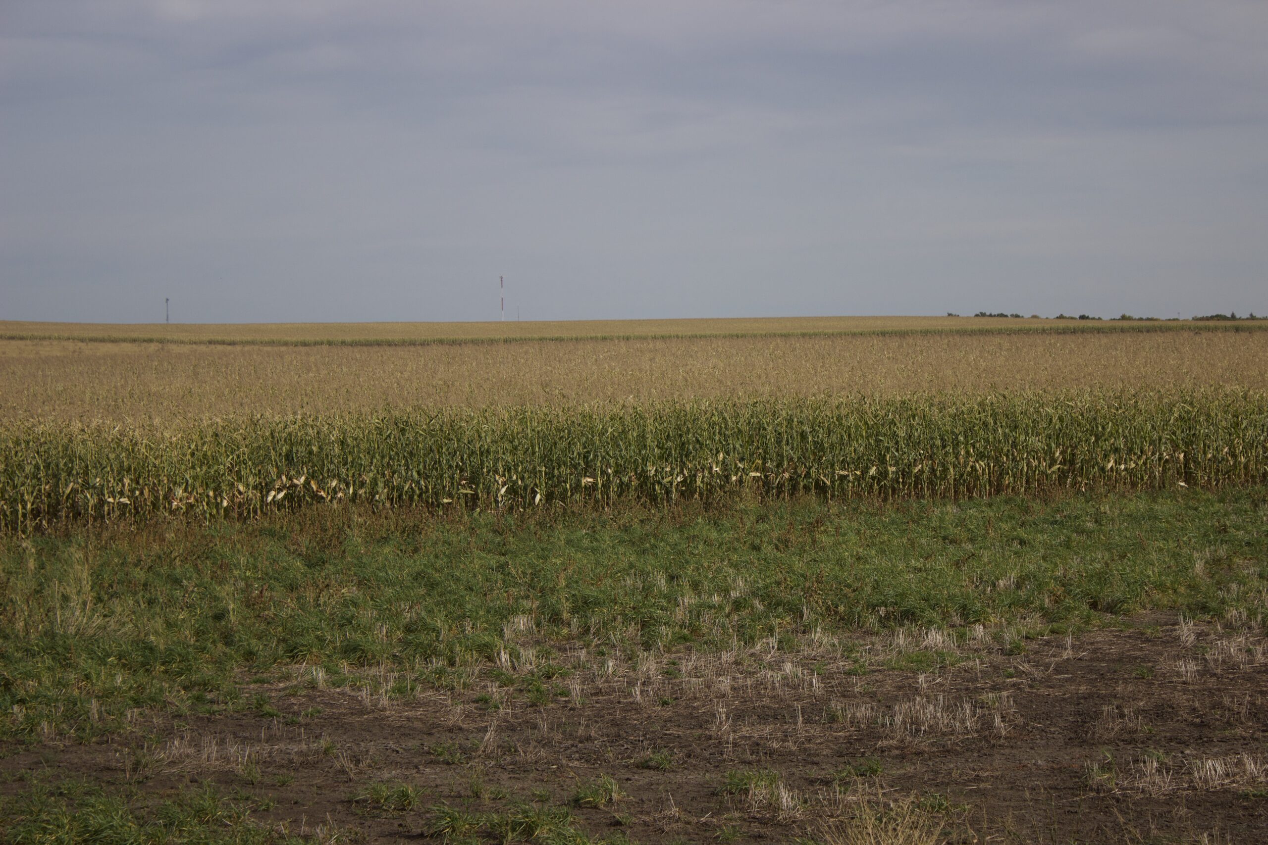 Potter County Land Auctions for Sale Gettysburg South Dakota