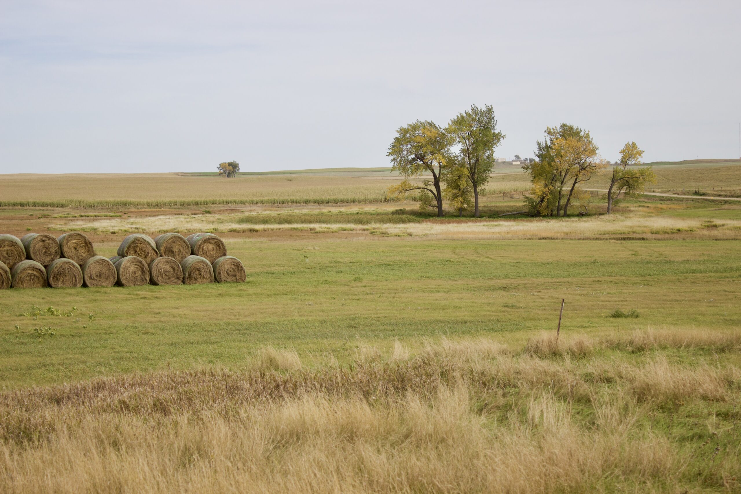 Potter County Land Auctions for Sale Gettysburg South Dakota
