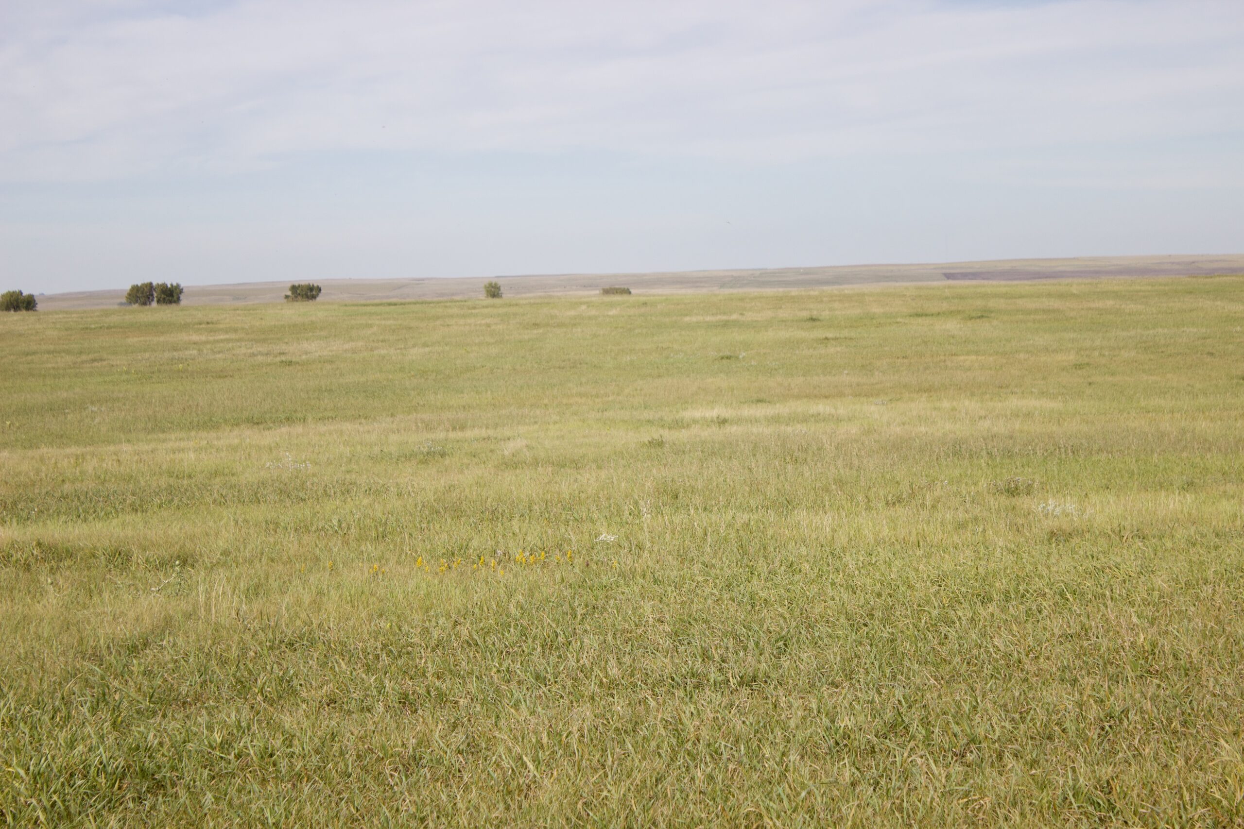 Potter County Land Auctions for Sale Gettysburg South Dakota