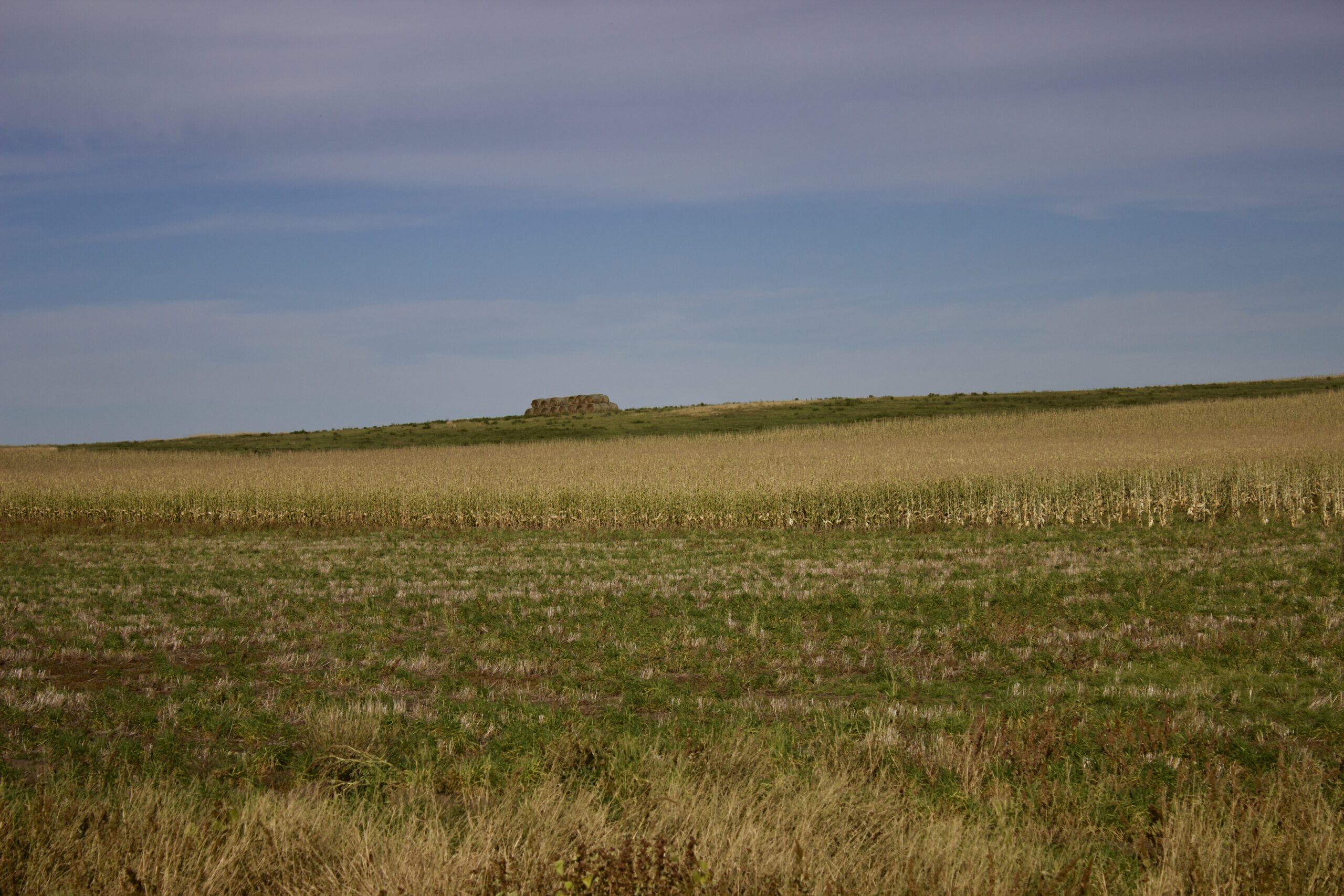 Potter County Land Auctions for Sale Gettysburg South Dakota