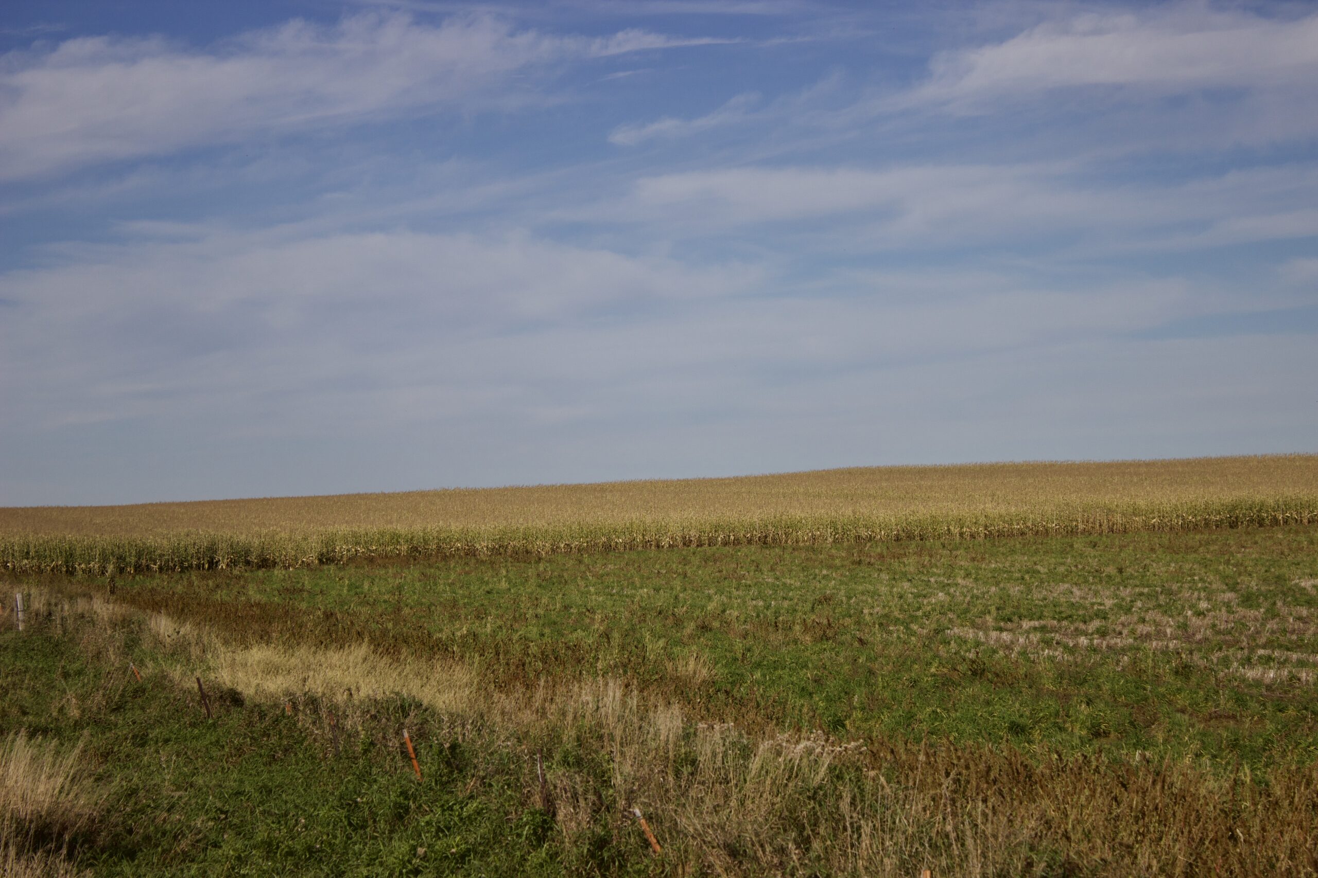 Potter County Land Auctions for Sale Gettysburg South Dakota