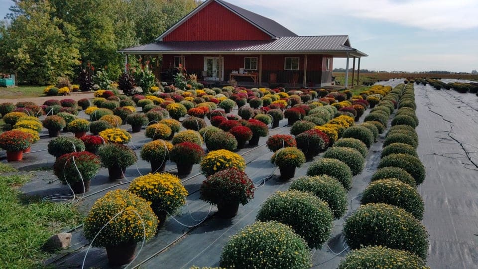 Fall is in the Air Dakota Peat & Equipment