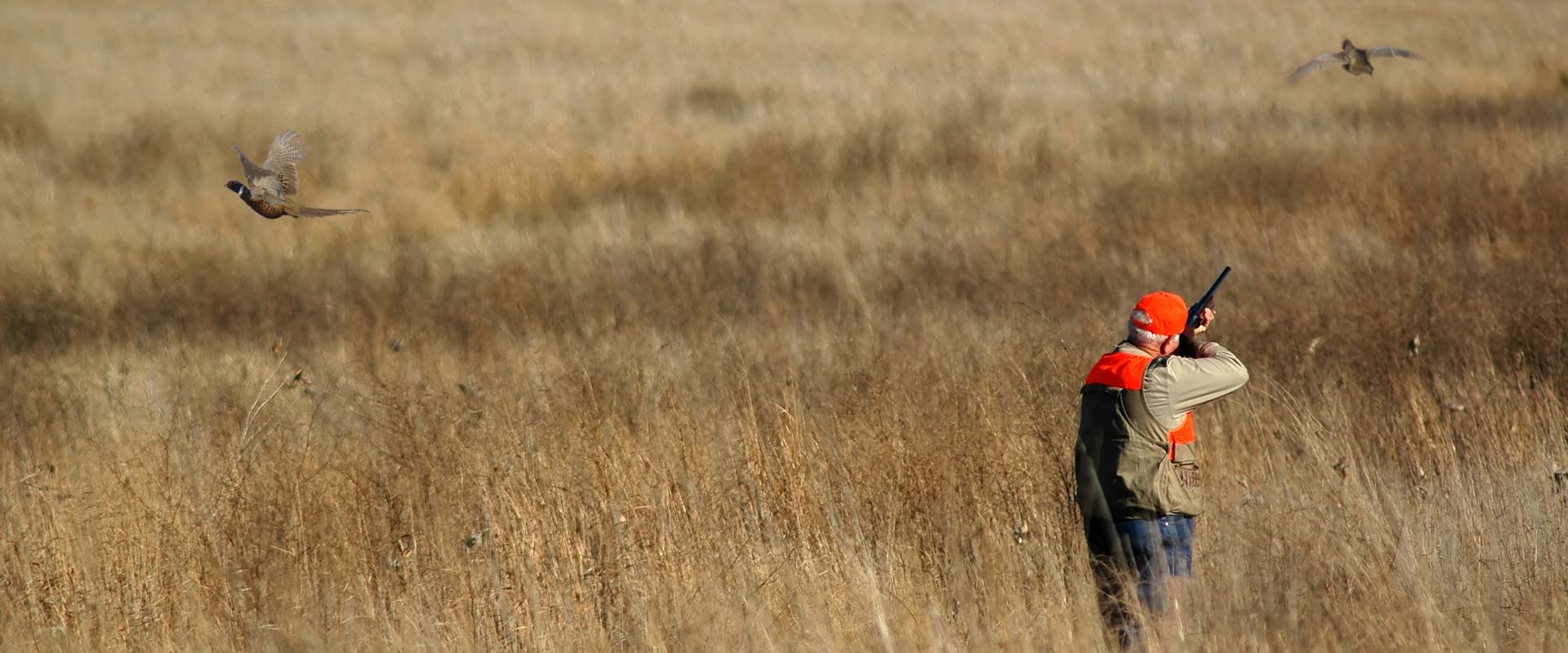 Dakota Prairie Holidays Unmatched hunting getaway with a private