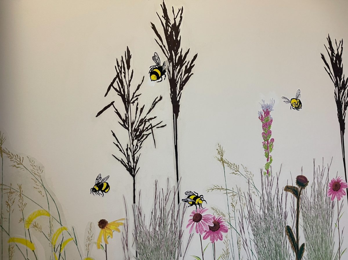 Five Fun Facts on the History of Spring Break Dakota Student