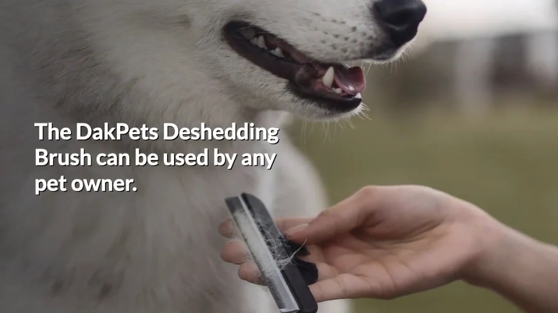 What Is A Deshedding Brush? DakPets