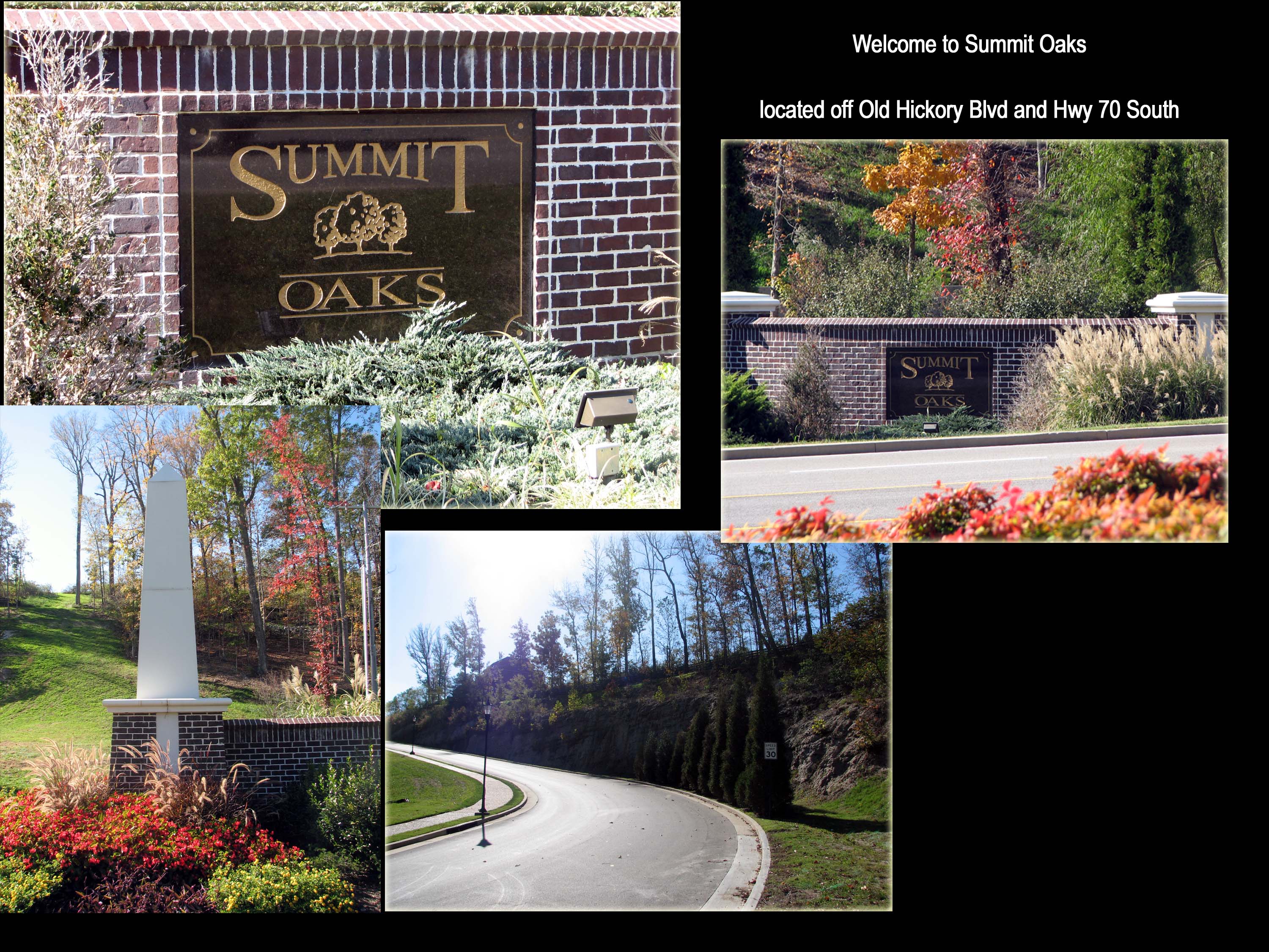 Summit Oaks Dalamar Homes