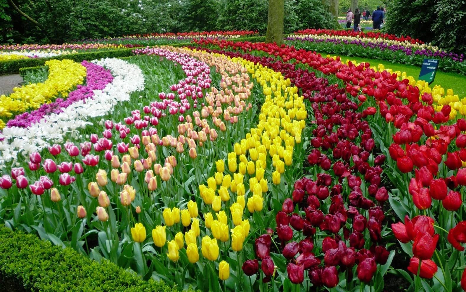 DALAT FLOWER GARDEN